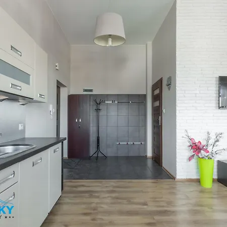 Bluesky -centrum Karpacza -obroncow Pokoju 1d ,kilka Krokow Od Deptaka Restauracji I Atrakcji *